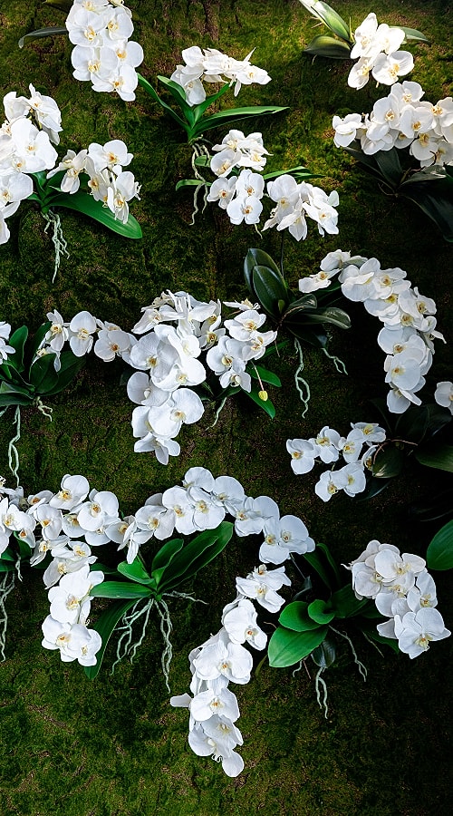 White orchids scattered on green moss background